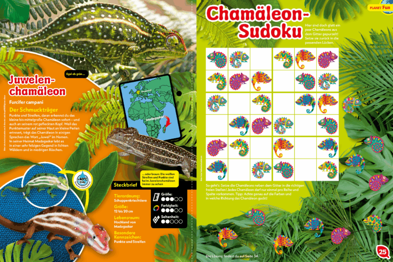 Kameleon z klejnotami; Sudoku z kameleonem