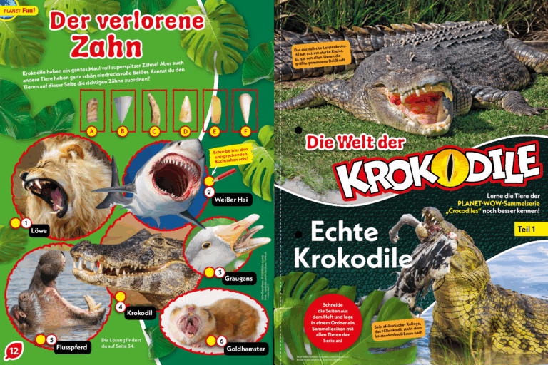 Zgubiony ząb; Świat krokodyli