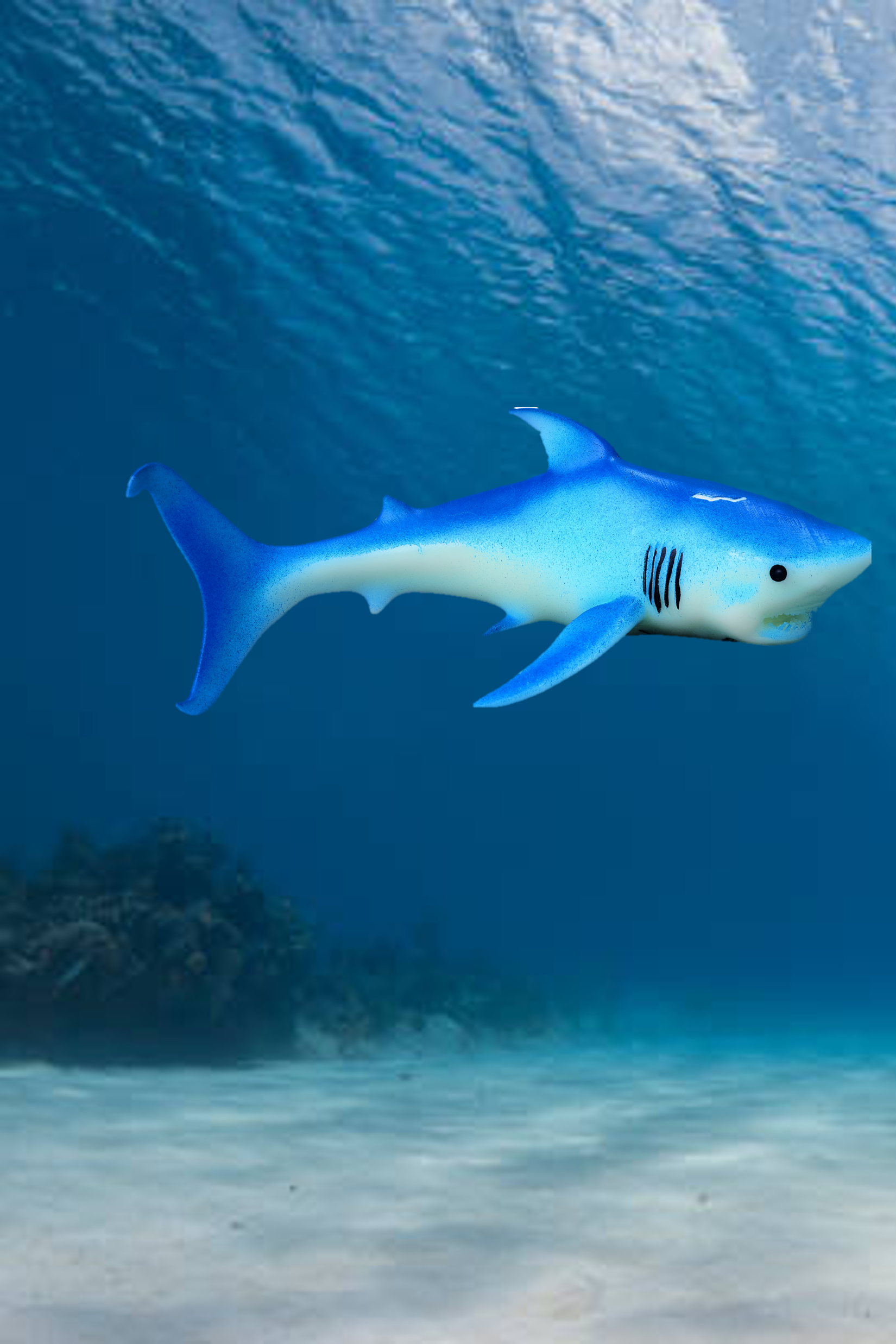 Megalodon - Otodus megalodon