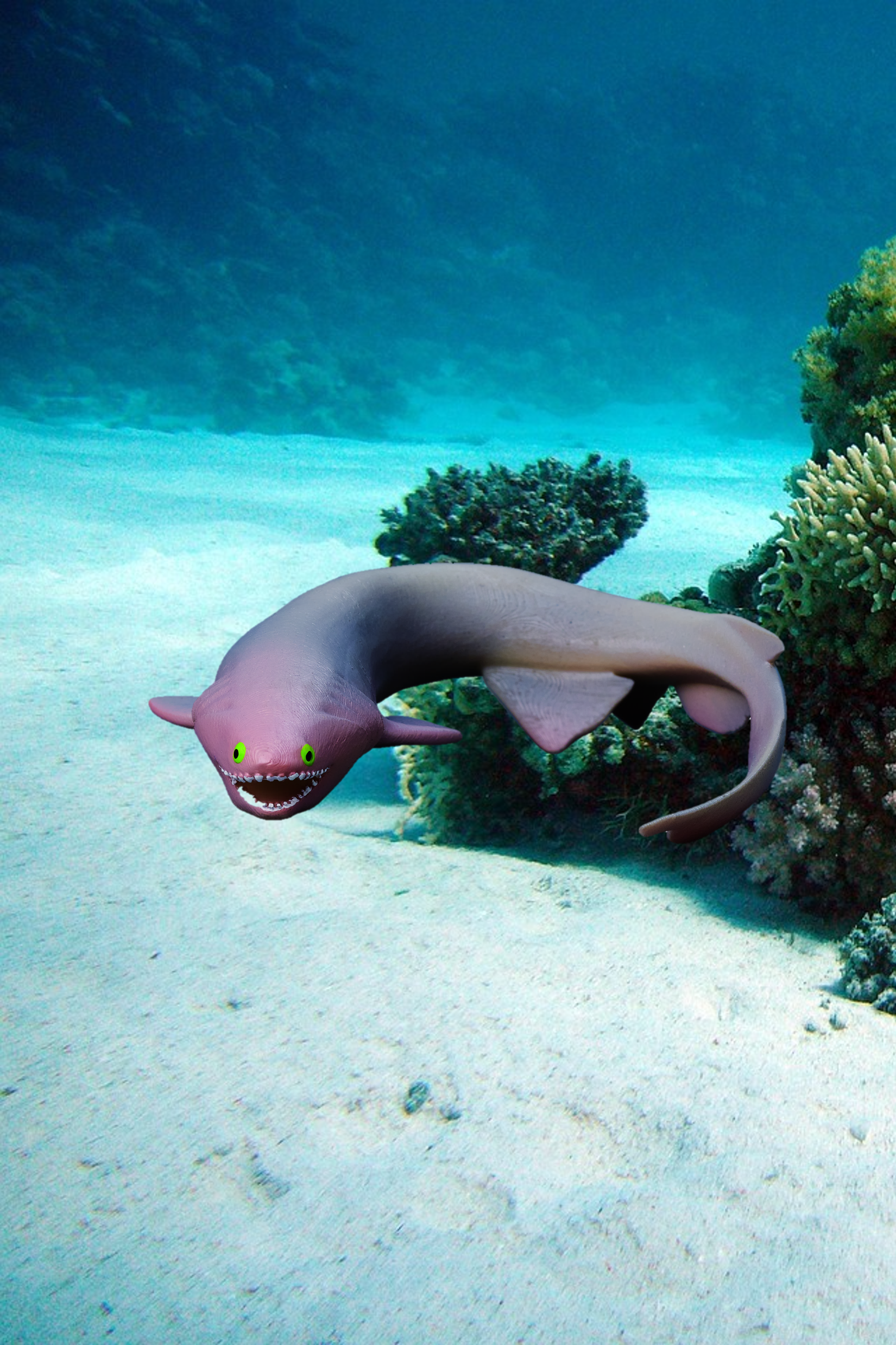 Fodros kutyahal - Chlamydoselachus anguineus