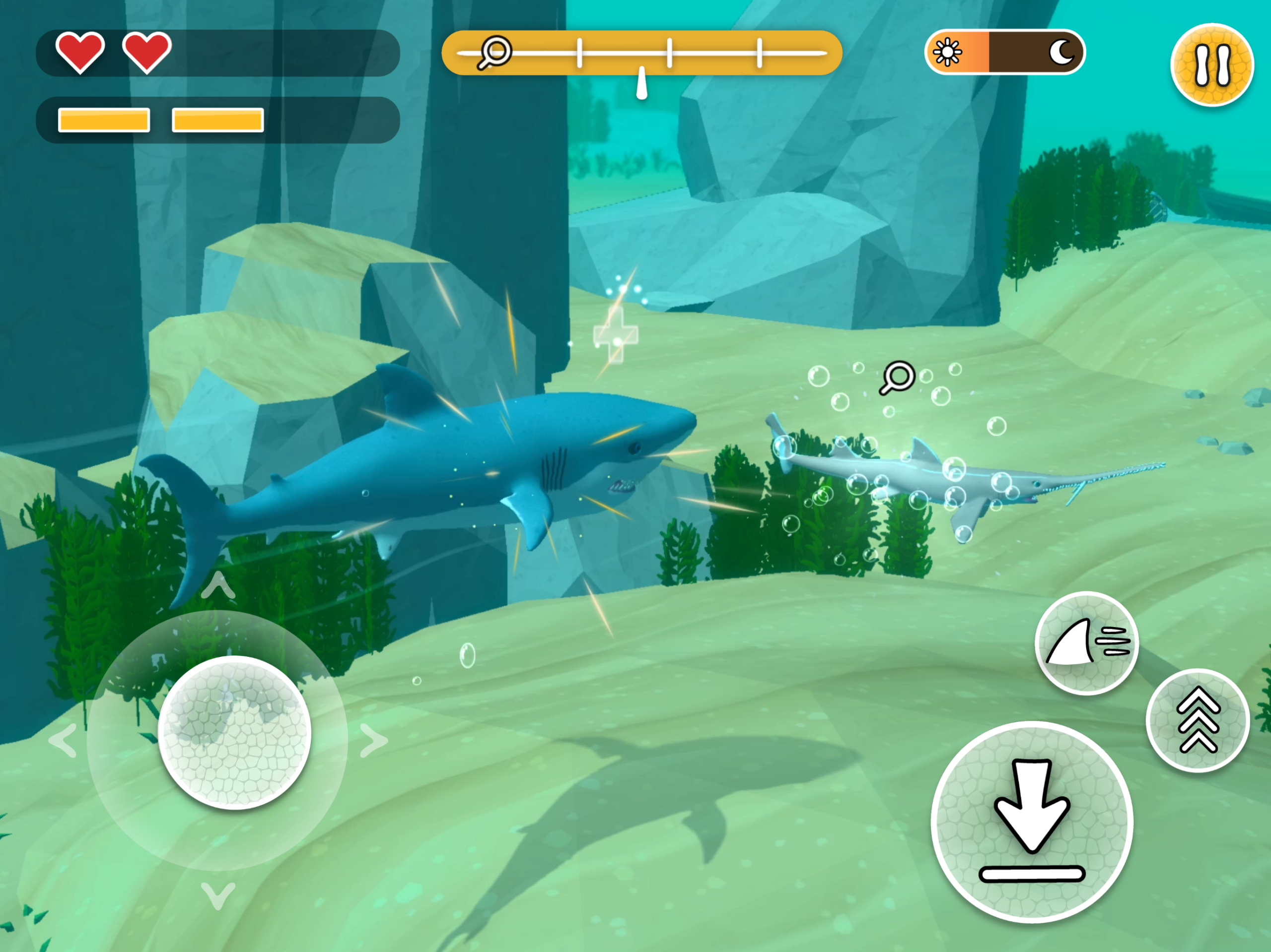 Entdecke coole Haie Unterwasser!