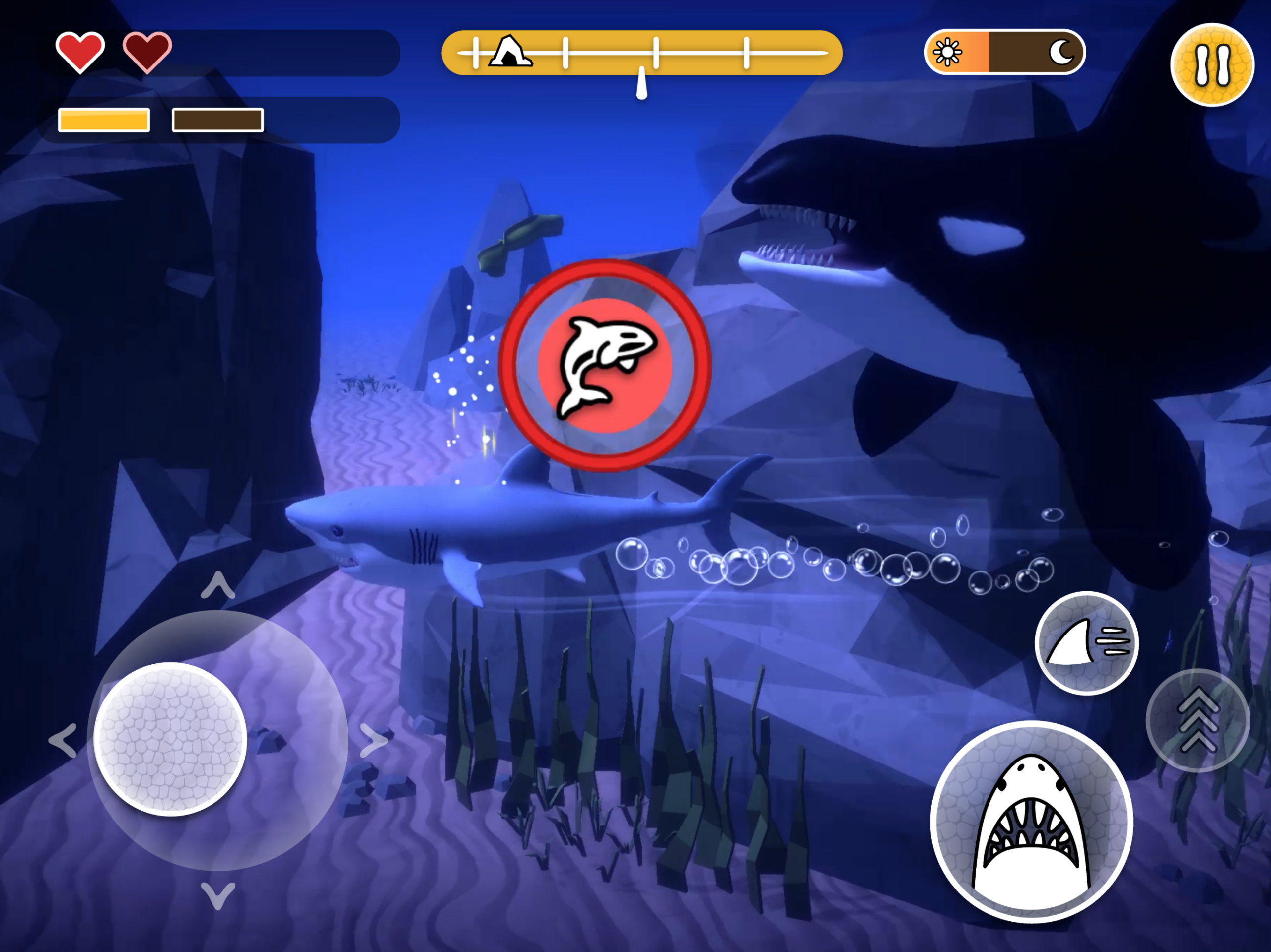 Jagen oder gejagt werden